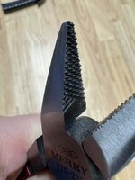IMG_8288.jpeg