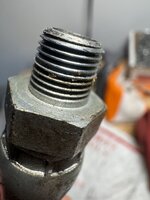 IMG_6204.jpeg