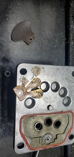 20250127_204305.jpg