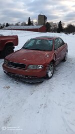 IMG_20250128_083010_687.jpg