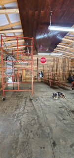 20230722_122855.jpg 20230722_122855.jpg