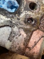 IMG_3140.jpeg