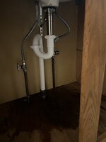 IMG_5541.jpeg