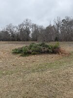 IMG_0312.jpeg IMG_0312.jpeg