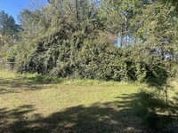 IMG_8127.jpeg IMG_8127.jpeg