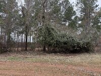IMG_0332.jpeg IMG_0332.jpeg
