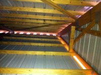 IMG_1181.jpg