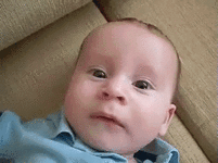 gif.GIF