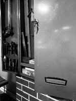 IMG_3945.jpeg