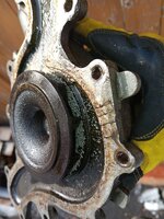20250208_134436.jpg 20250208_134436.jpg