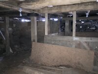 IMG_4347.jpeg
