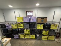 IMG_1163.jpeg