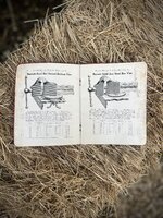 IMG_1813.jpeg