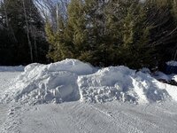 IMG_1195.jpeg