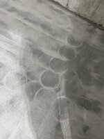 IMG_6645.jpeg IMG_6645.jpeg