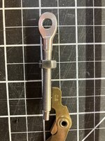 IMG_6556.jpeg IMG_6556.jpeg