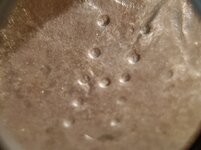 20250209_224033.jpg