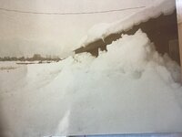 IMG_5472.jpeg IMG_5472.jpeg