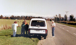 NZ Sheep 1.jpg NZ Sheep 1.jpg