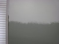 IMG_9907 small.jpg