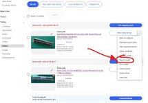 report buyer tab on drop-down menu.JPG