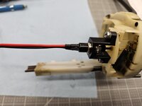 20250227_145908.jpg