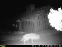 IMG_0958.jpeg