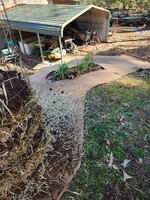 20250301_134531.jpg 20250301_134531.jpg