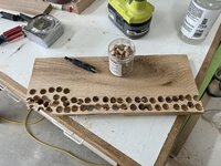 IMG_3157.jpeg