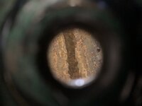 IMG_3127.jpeg