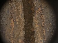 IMG_3128.jpeg