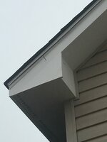 IMG_1253.JPG.jpeg IMG_1253.JPG.jpeg