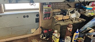 IMG_20240717_110030.jpg
