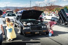 IMG_9248.jpeg IMG_9248.jpeg