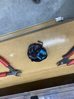 IMG_1112.jpeg IMG_1112.jpeg