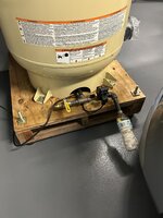 IMG_7404.jpeg