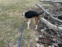 IMG_5753.jpeg