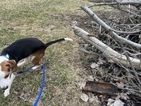 IMG_5754.jpeg