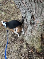 IMG_5764.jpeg