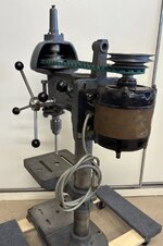 IMG_7596.jpeg