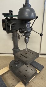 IMG_7600.jpeg