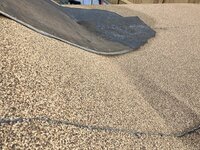 IMG_7468.jpg