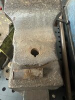 IMG_2032.jpeg