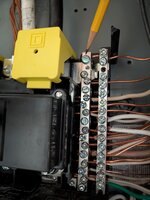 PXL_20250307_202419364.jpg