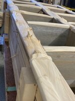 IMG_2206.jpeg
