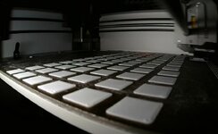 IMG_5530.jpeg
