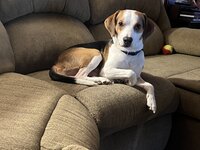 IMG_5807.jpeg