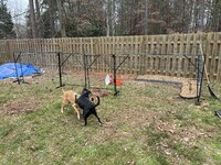 IMG_6661.jpeg