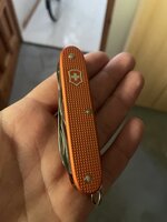 IMG_3327.JPEG