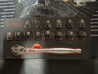 IMG_1523.jpeg